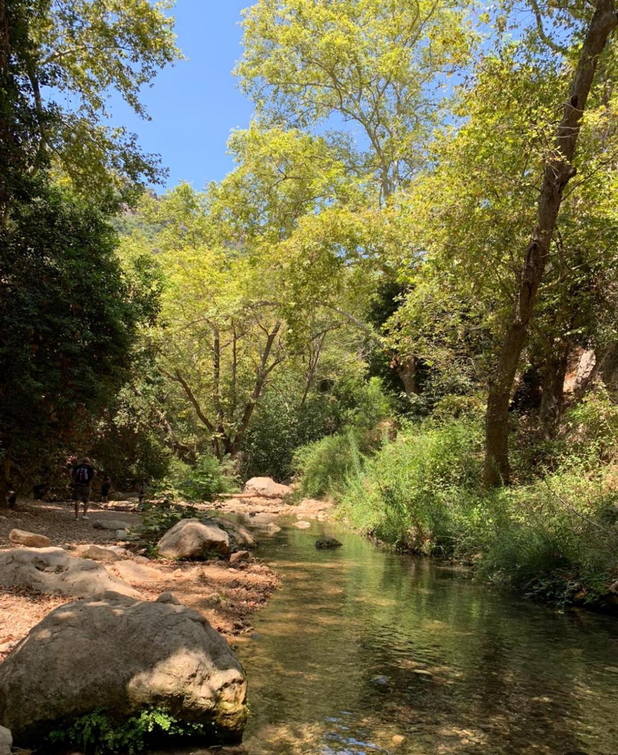 Netta'S Place Mitzpe Hila エクステリア 写真